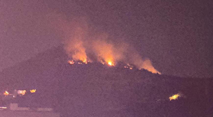Adana’da orman yangını! Ekipler müdahale ediyor