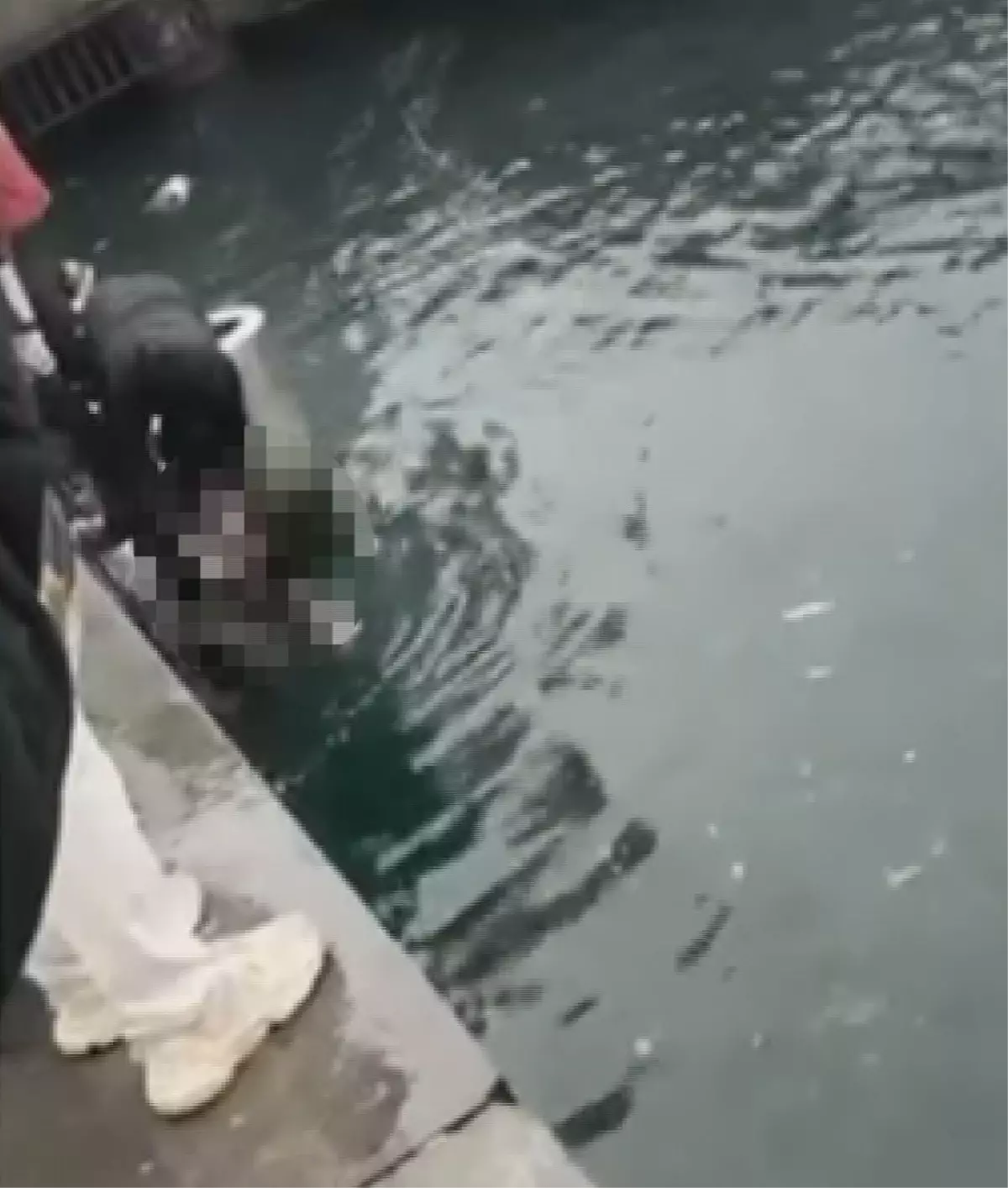 istanbulda can pazari 4 engelli vatandas denize dustu biri hayatini kaybetti G5NNIhM2.jpg