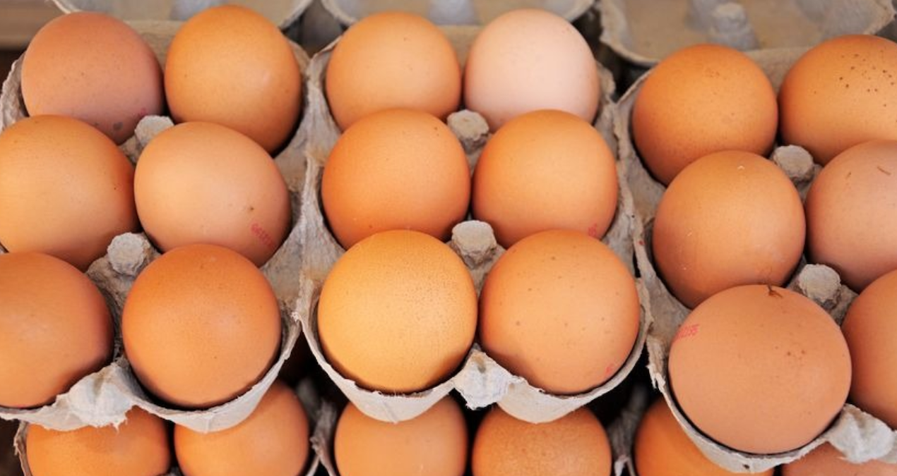 yumurta krizi kapida uretimde sert dusus wU8G3uUs.jpg
